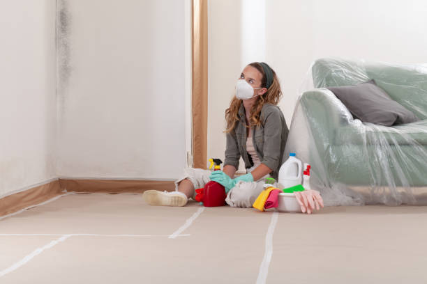 Reliable Mold Remediation contractor in Collingswood, NJ by WQB Mold Removal